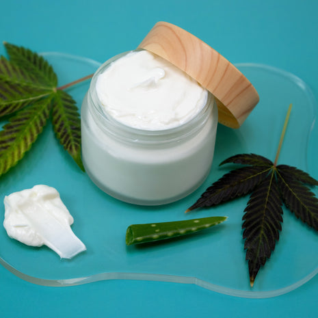 Jar of white cream with a wooden lid on a blue background with leaves and aloe vera.