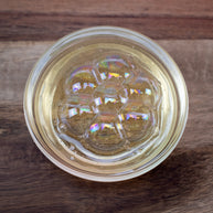 Autumn Aura Probiotic Wash