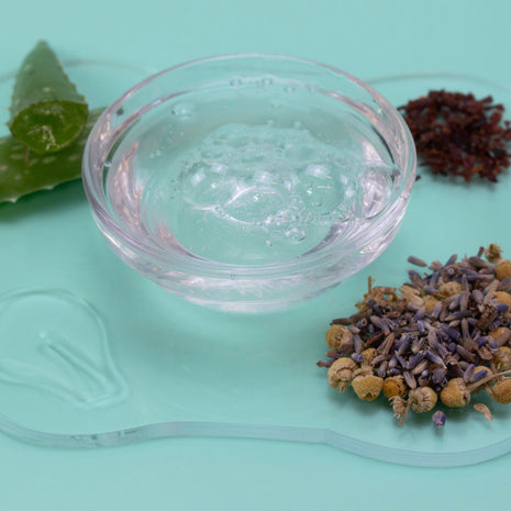 Clear bowl with water, aloe vera leaf, dried lavender, and clove on a light blue background