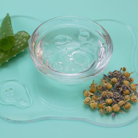 Clear glass bowl with water, aloe vera leaf, and dried herbs on a light blue background