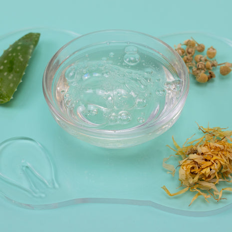 Clear liquid in a small glass bowl with aloe vera leaf, dried flowers, and leaves on a light blue background