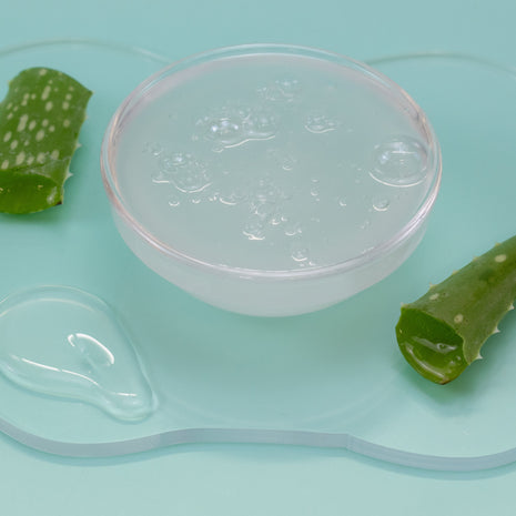 Transparent gel pack with aloe vera leaves on a light blue background