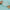 Clear gel-like substance in a mold with ginger root and spices on a light blue background