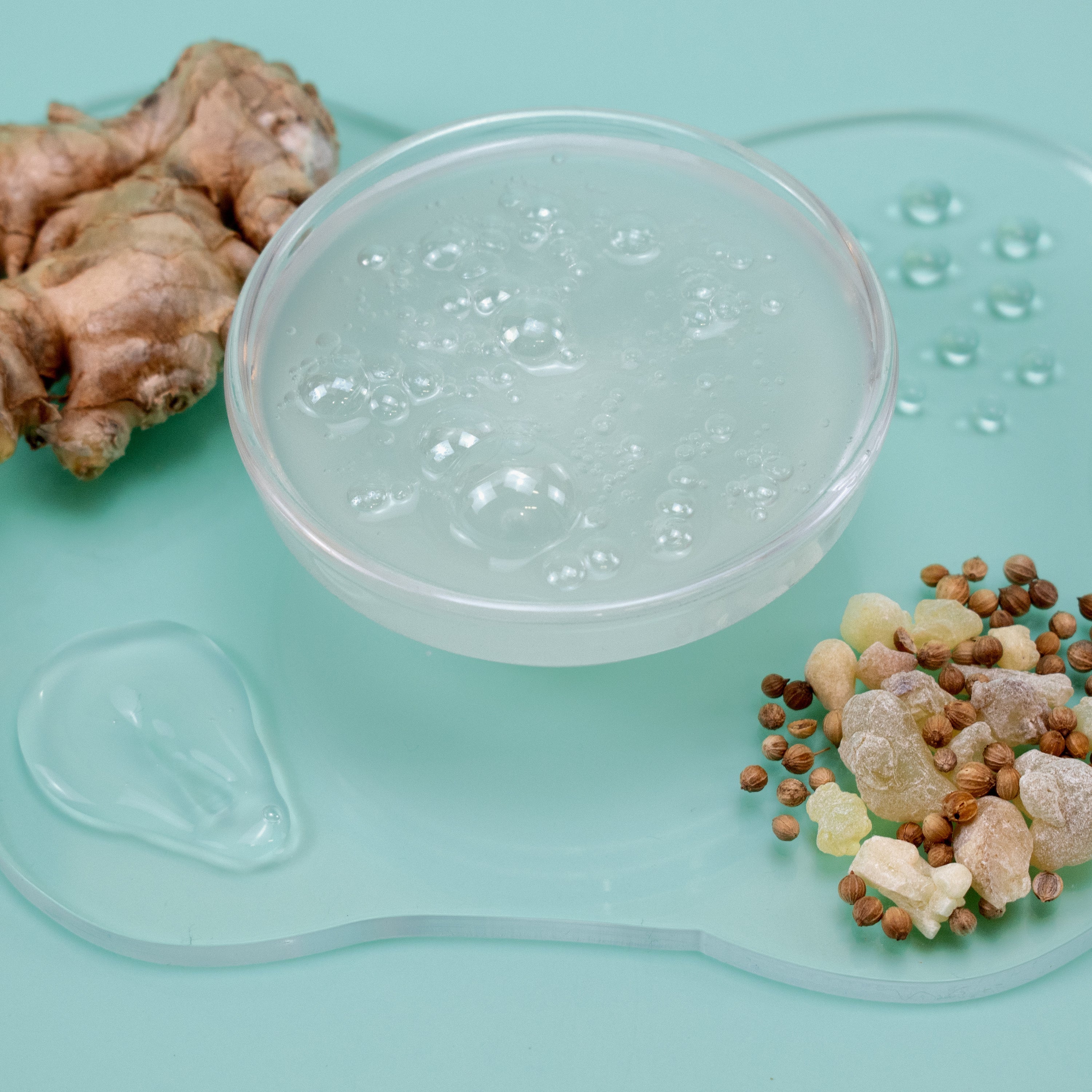 Clear gel-like substance in a mold with ginger root and spices on a light blue background