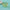 Clear dish with green gel-like substance on a light blue background