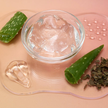 Aloe Gel with aloe vera leaves and dried aloe vera on a pink background