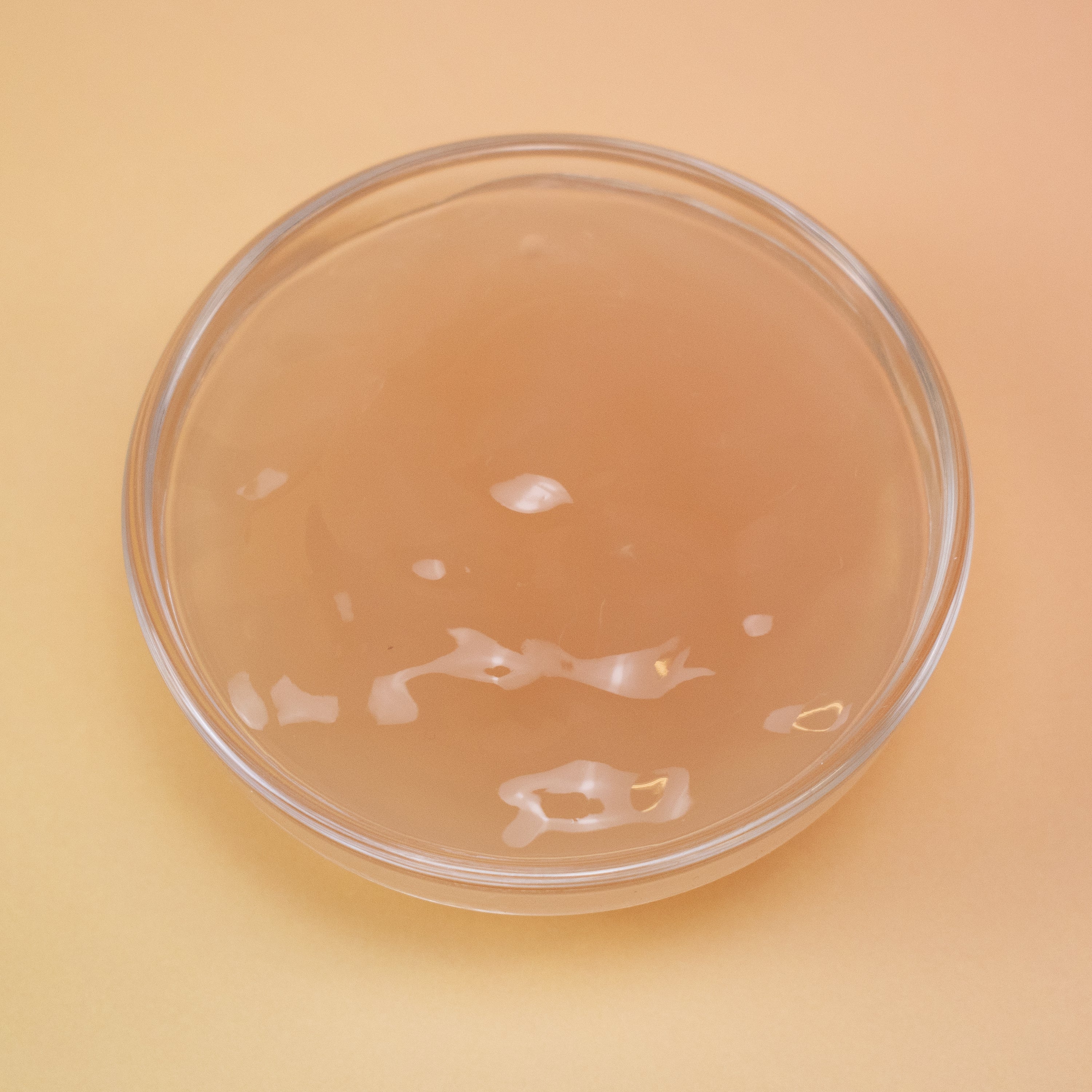 Blueberry Aloe Gel