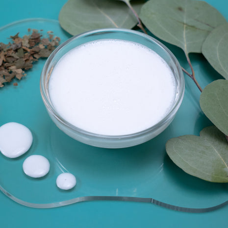 Glass bowl Citronella & Eucalyptus Spray Lotion, surrounded by eucalyptus leaves and dried herbs on a teal surface