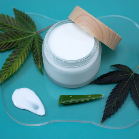 Hemp Lotion in a  jar with a wooden lid on a blue background with hemp leaves