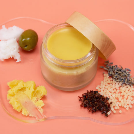 Glass jar with Barrier Balm on a pink background with various herbs and spices.