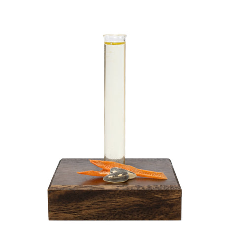 Essential Tune Up Blend in a glass beaker on a wooden base with natural ingredients