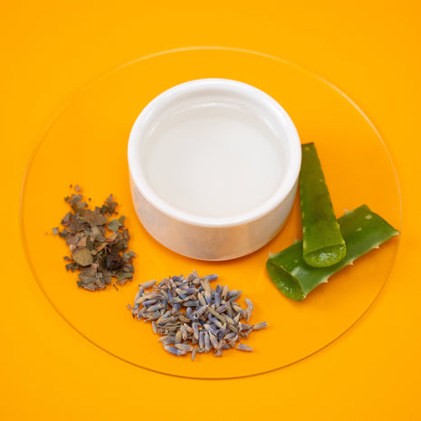 White bowl with Lavender Body & Linen Spray and dried herbs lavender and aloe vera on an orange background
