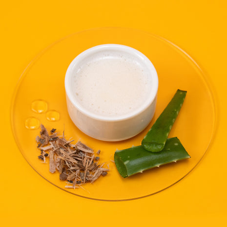 White bowl with Leave-In Detangler Spray, dried herbs, and green aloe vera leaves on a yellow background