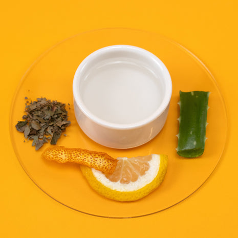 White bowl with Citrus Body & Linen Spray. aloe vera leaf, lemon, and dried herbs on an orange background