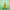 Vitamin C Facial Toner in a bottle with a dropper on a clear stand with natural ingredients against a green background