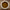 White bowl filled with Carrot Seed Oil on a wooden surface