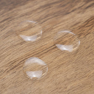 Camellia Seed Oil (Responsibly Grown)