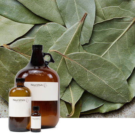 Bay Leaf Essential Oil