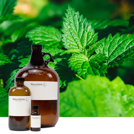 Catnip Essential Oil