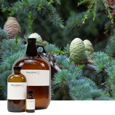 Cedarwood Atlas Essential Oil