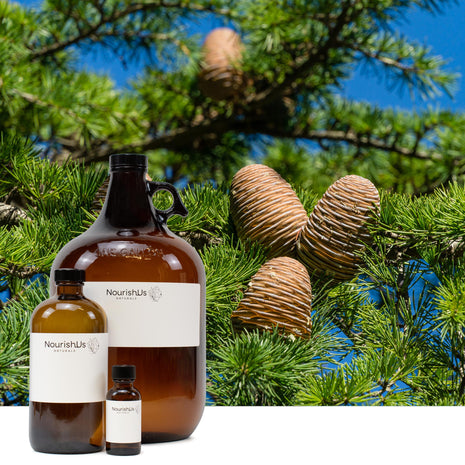 Cedarwood Himalayan Essential Oil