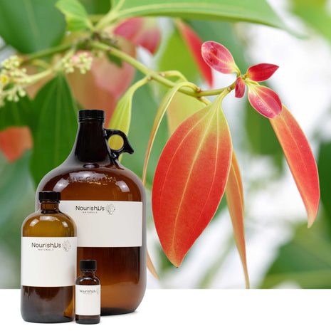Cinnamon Leaf Essential Oil