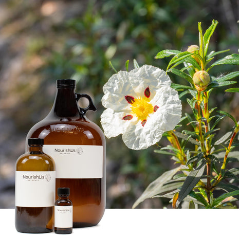 Cistus Essential Oil (Rockrose) (Responsibly Grown)