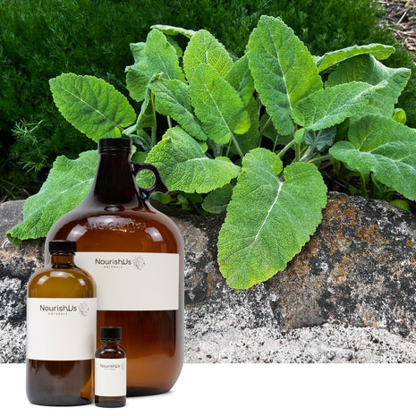 Clary Sage Essential Oil