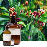 Clove Leaf Essential Oil