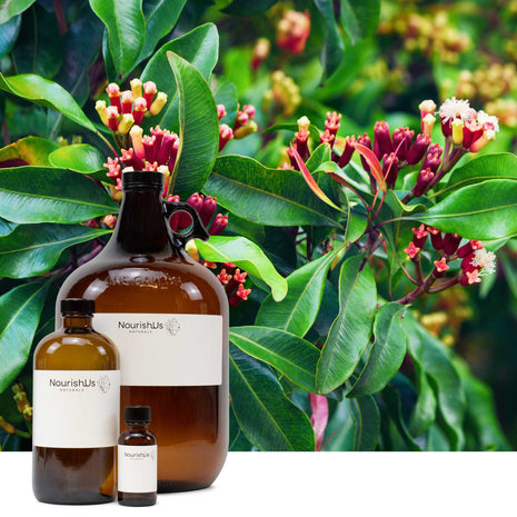 Clove Leaf Essential Oil