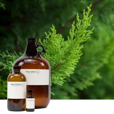 Cypress Essential Oil (Responsibly Grown)