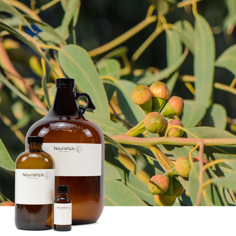 Eucalyptus Lemon Essential Oil