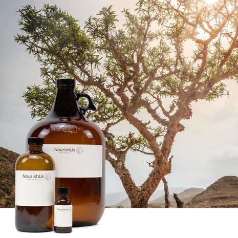 Frankincense Essential Oil (Responsibly Grown)