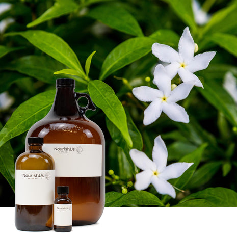 Jasmine Grandiflorum Absolute