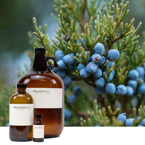 Juniper Berry Essential Oil (Responsibly Grown)