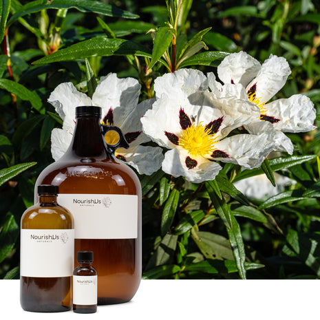 Labdanum Essential Oil