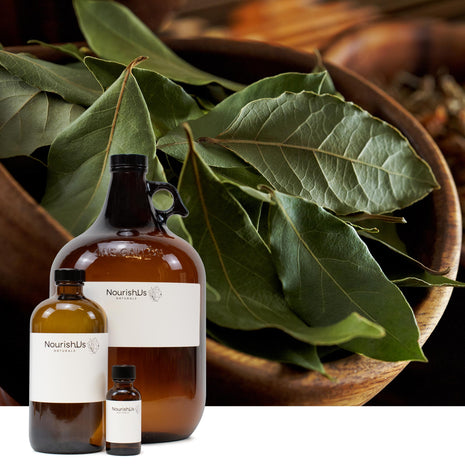 Laurel Leaf Essential Oil