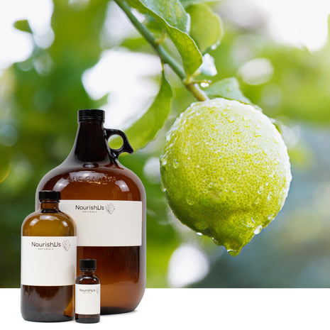 Lime Essential Oil (Steam Distilled)