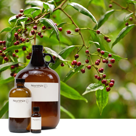 Litsea Essential Oil