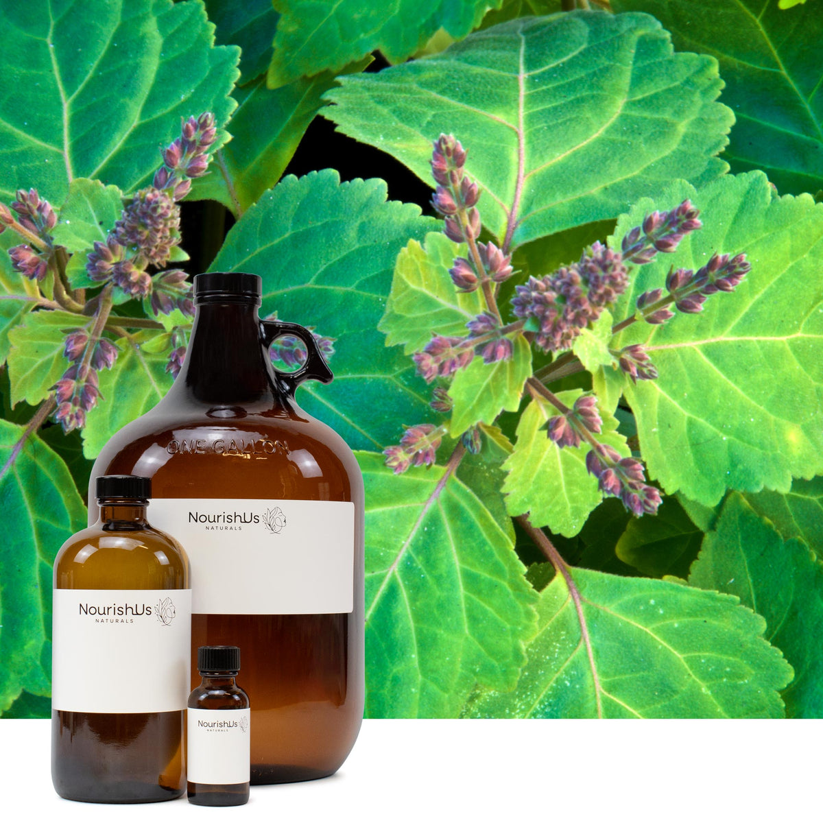 Patchouli Essential Oil