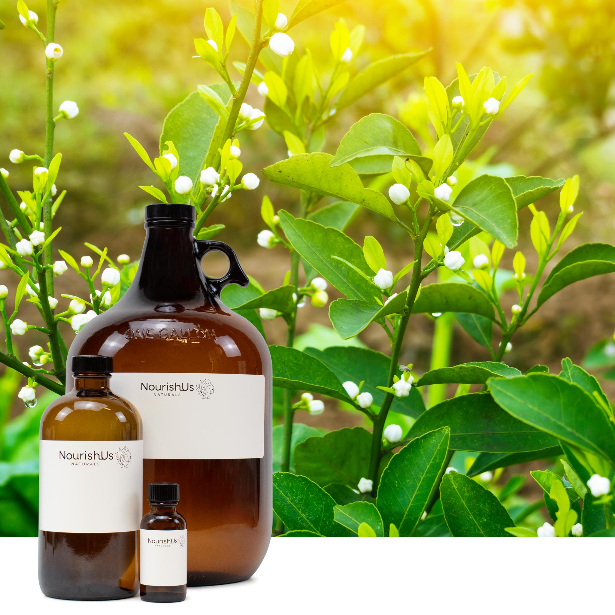 Petitgrain Essential Oil