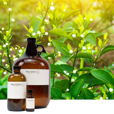 Petitgrain Essential Oil