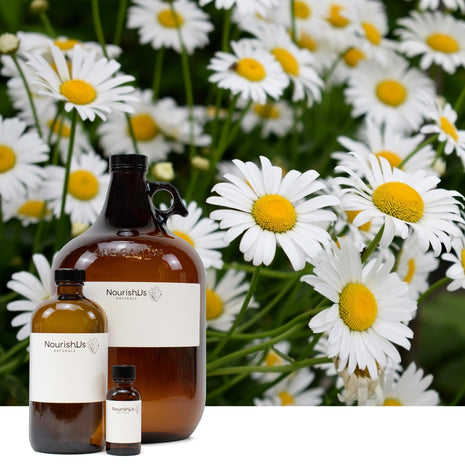 Roman Chamomile Essential Oil