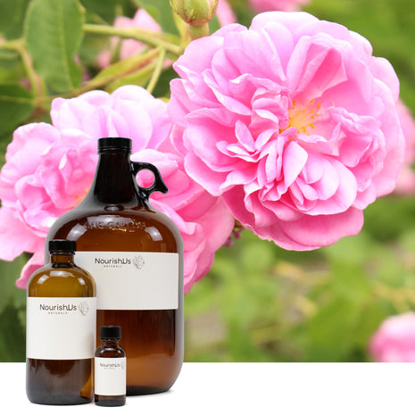 Rose Absolute Bulgaria