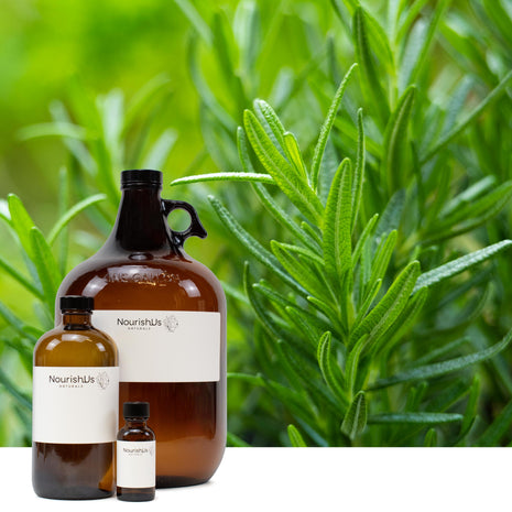 Rosemary Essential Oil (Responsibly Grown)