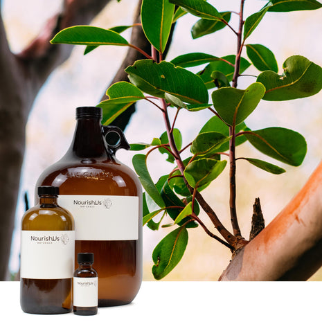 Sandalwood Essential Oil (Responsibly Grown)