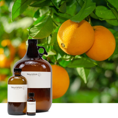 Sweet Orange Essential Oil