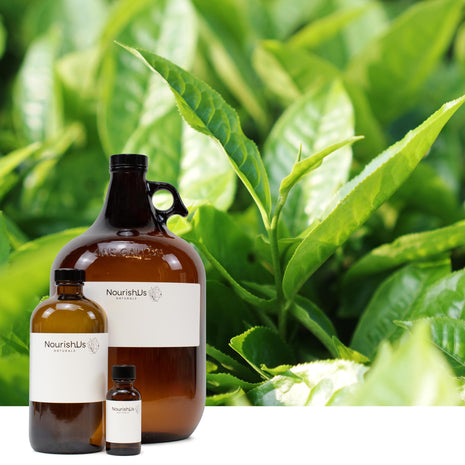 Tea Tree Essential Oil