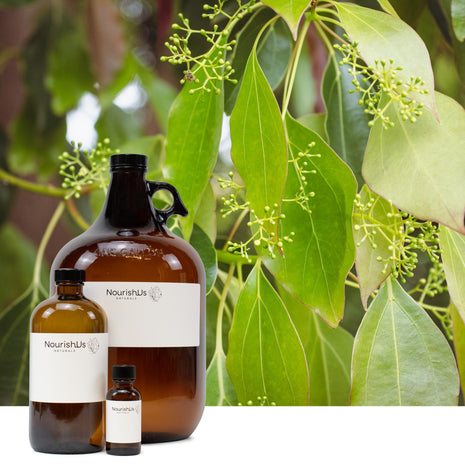 White Camphor Essential Oil