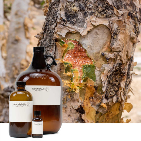 Warm Cedar Breeze Essential Oil Blend